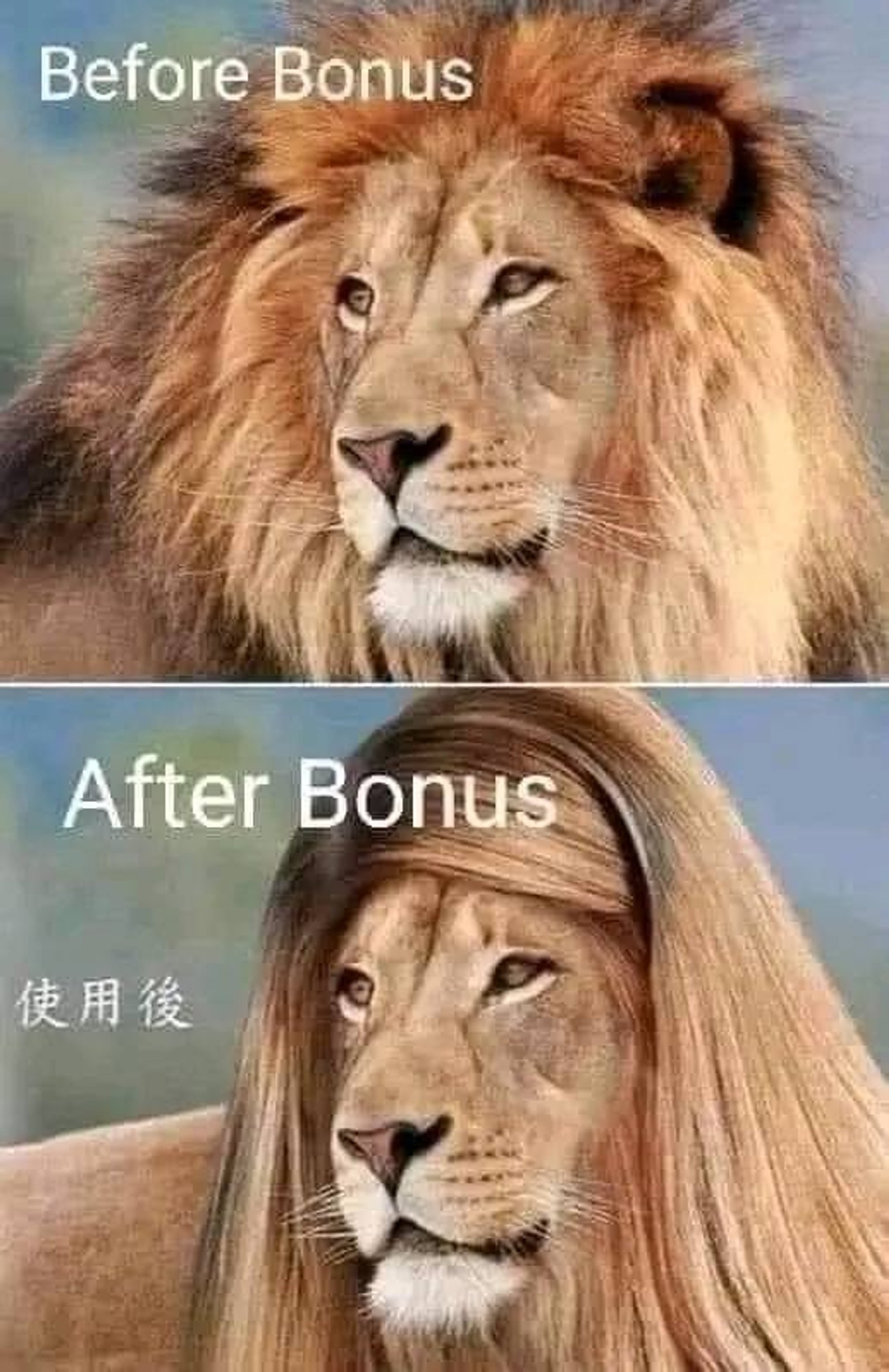 Post Photo