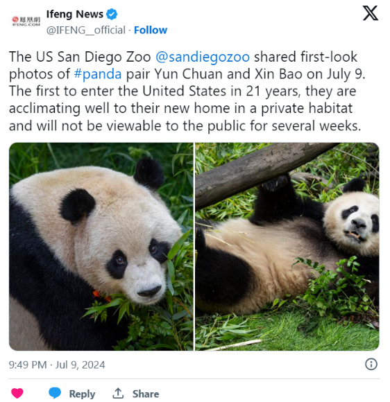 Post Photo