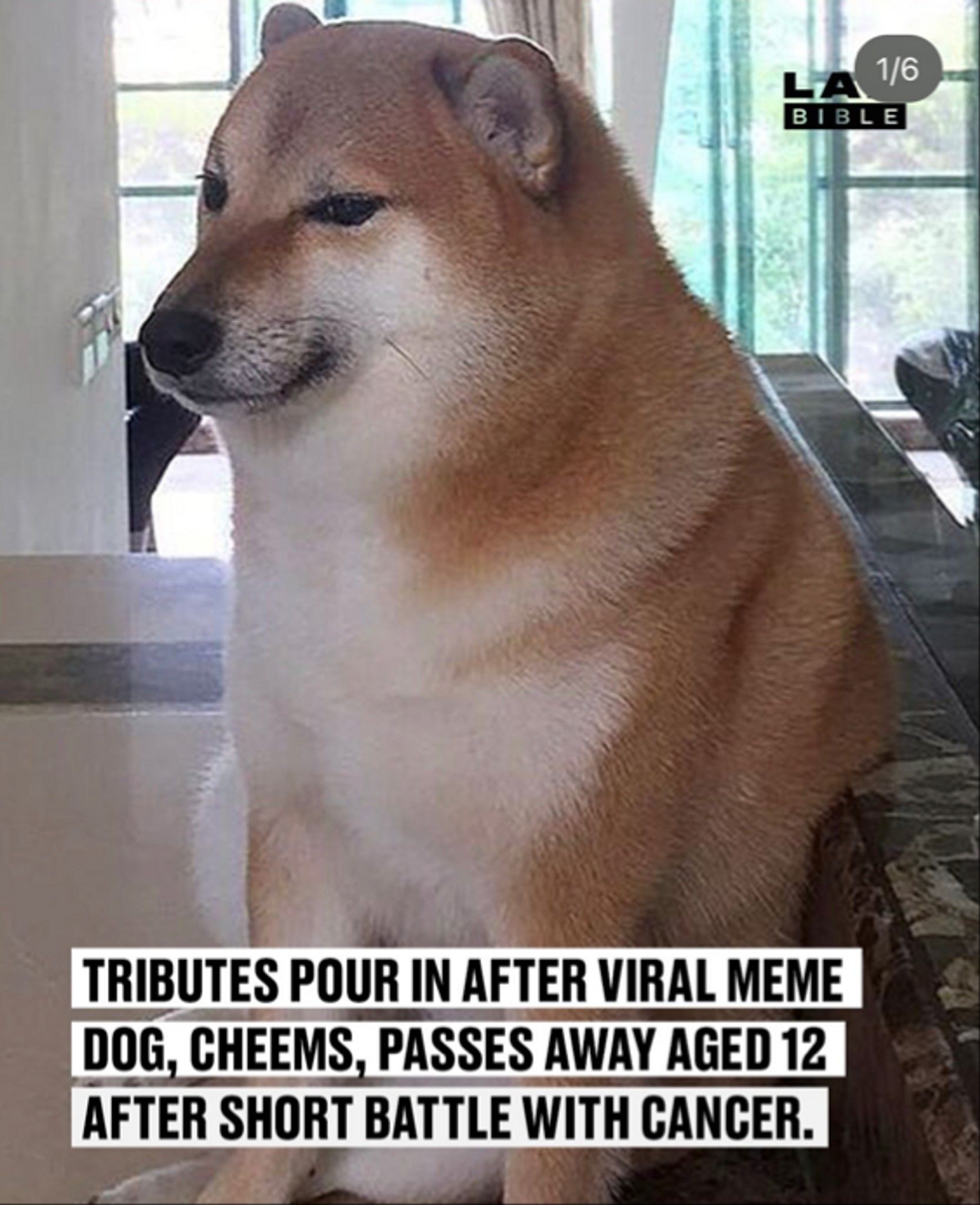 Post Photo
