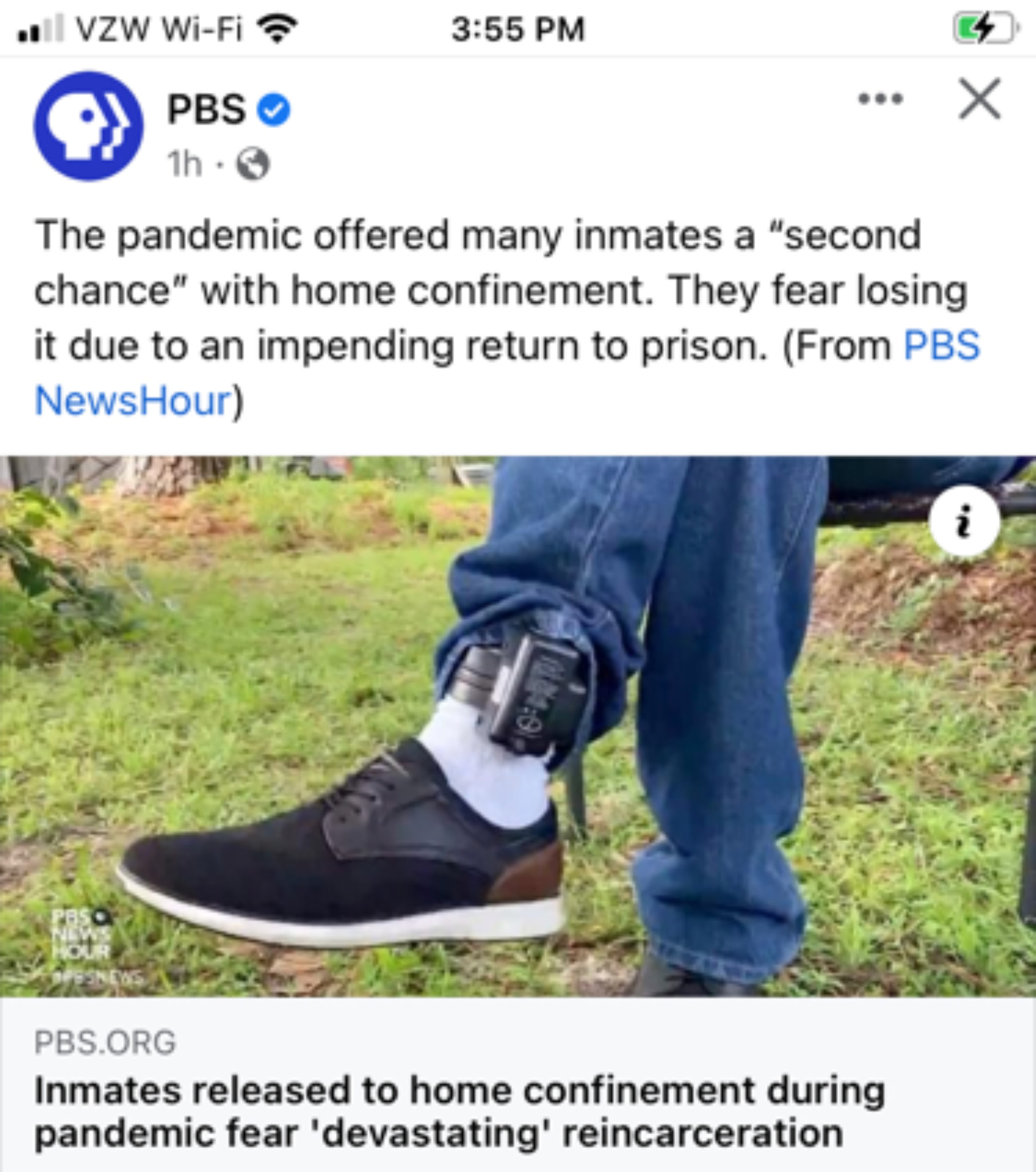 What things do portfolio schools provide that could NOT be replicated