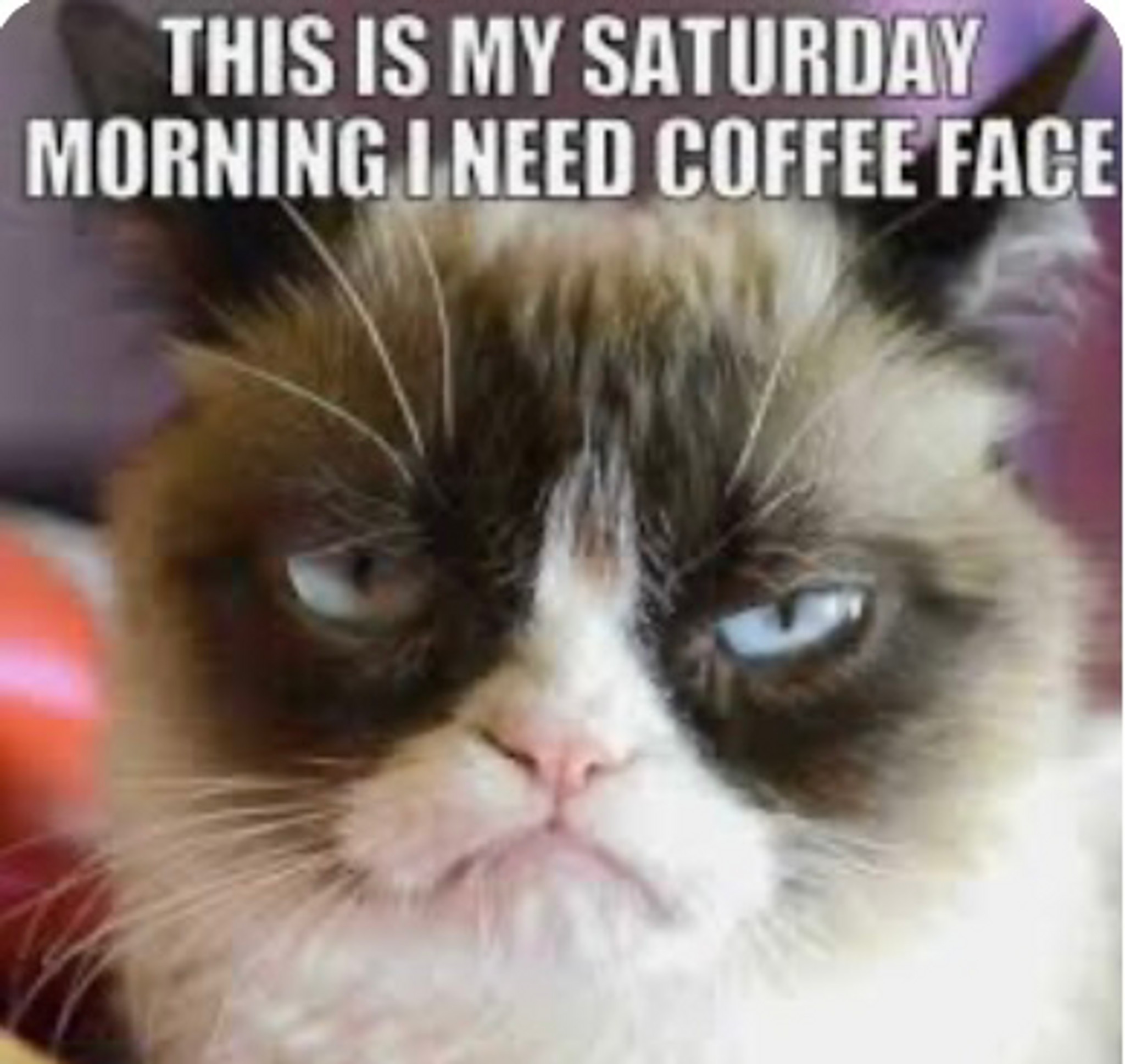 It's Monday... Need I Say More? Shhhh Battery Cables Jump Start Coffee –  Aint That Sweet, image size:2048x1937