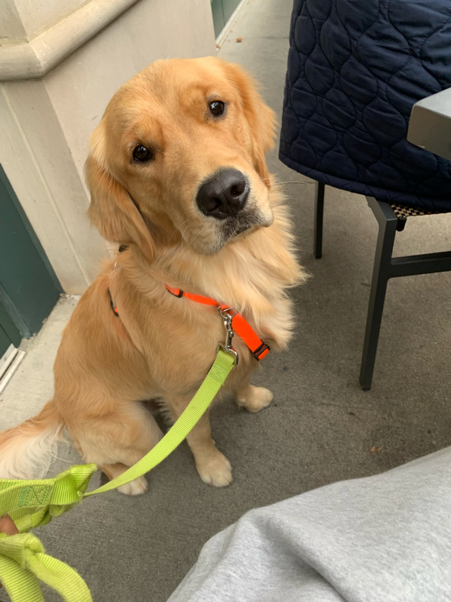 How many times do you shower with your SO? Living with my GF and she