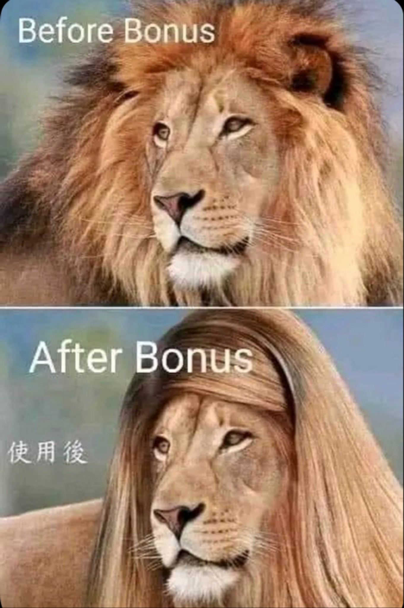 Post Photo