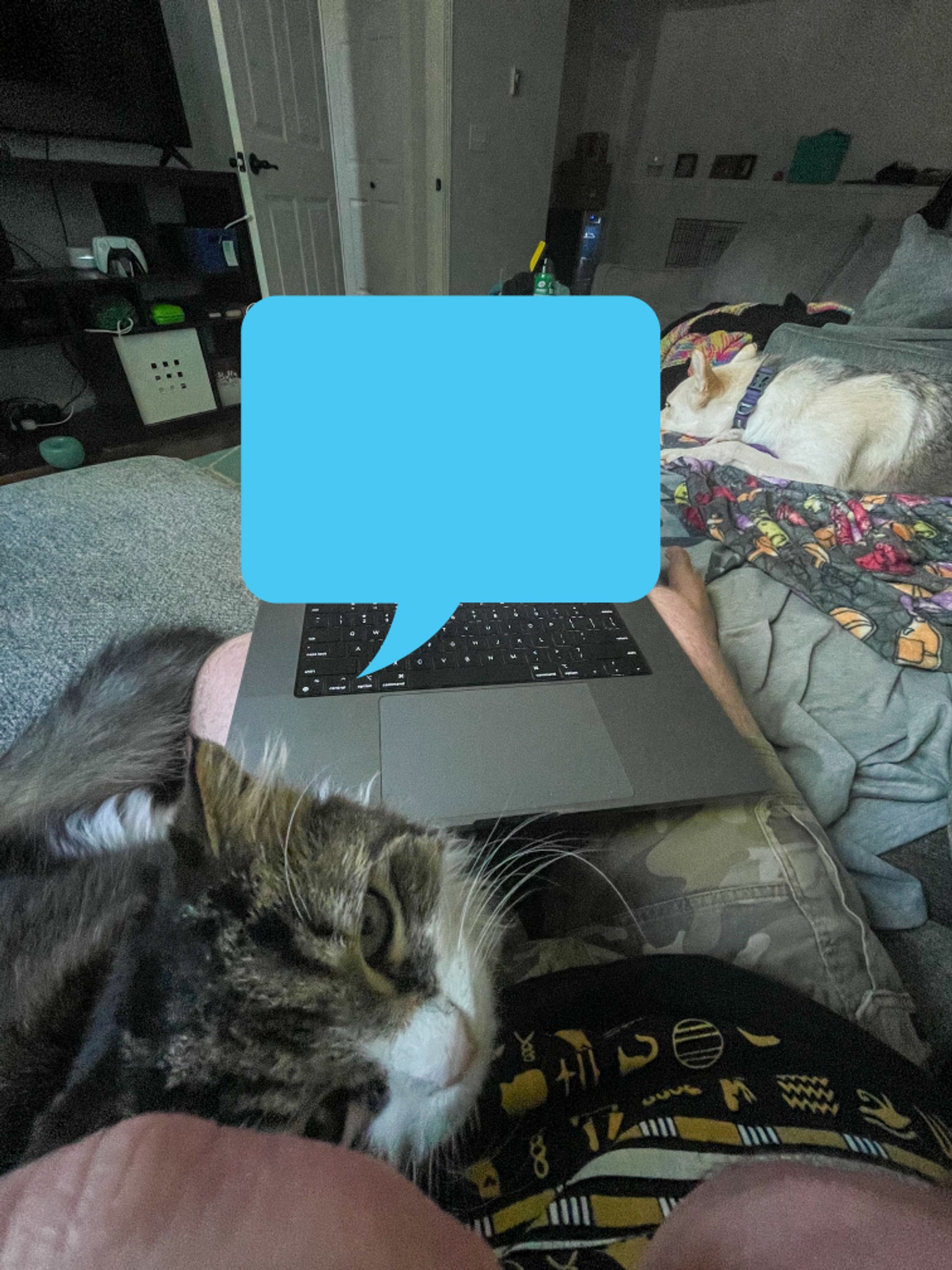 Post Photo