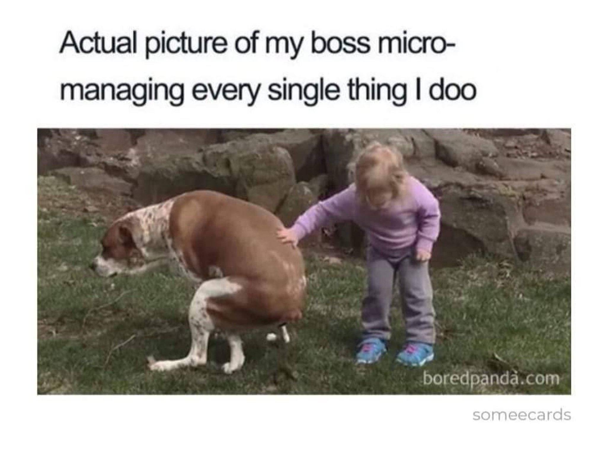 Post Photo