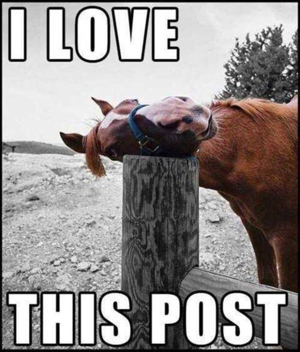 Post Photo
