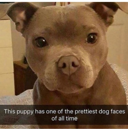 Post Photo