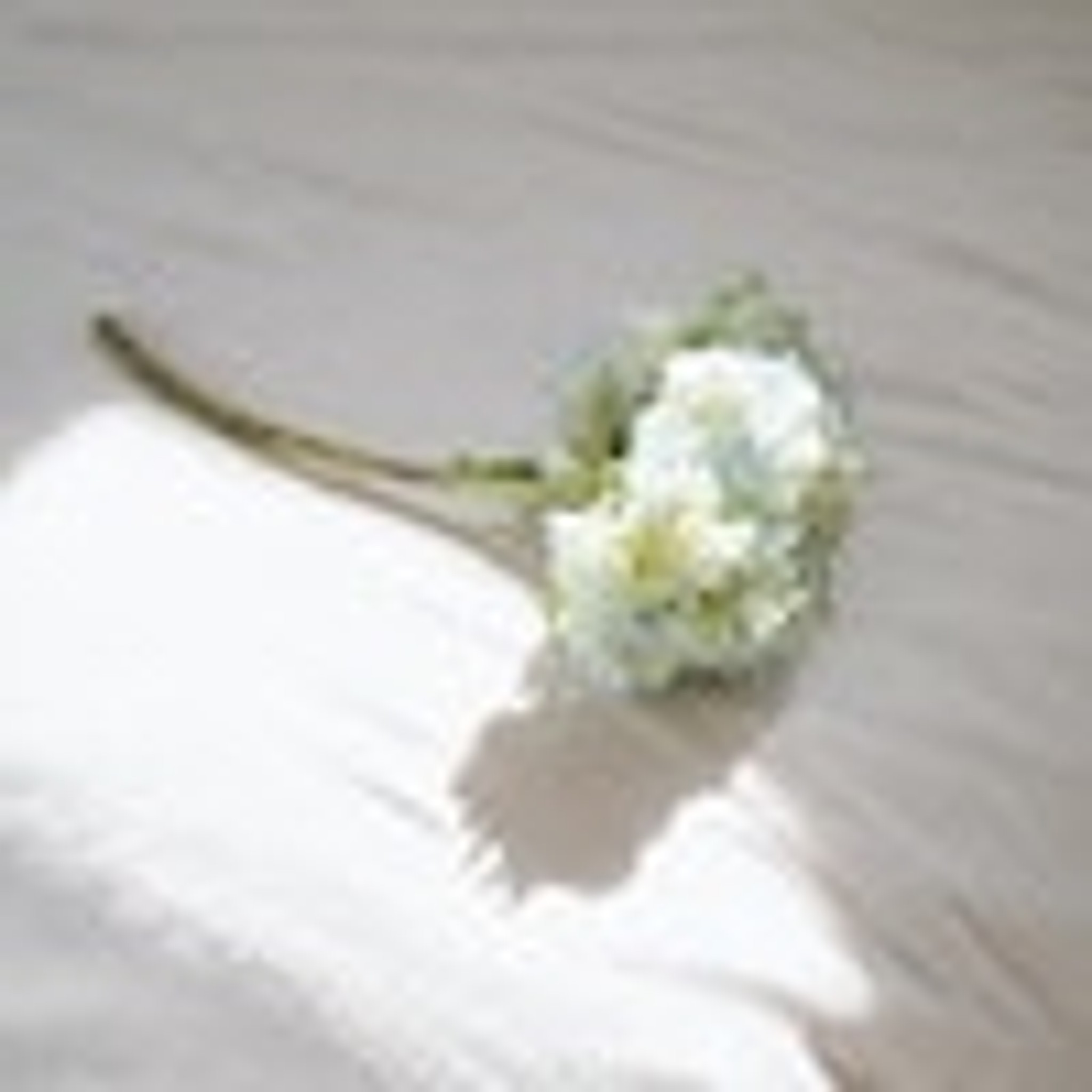 Post Photo