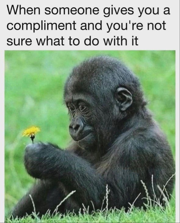 Post Photo