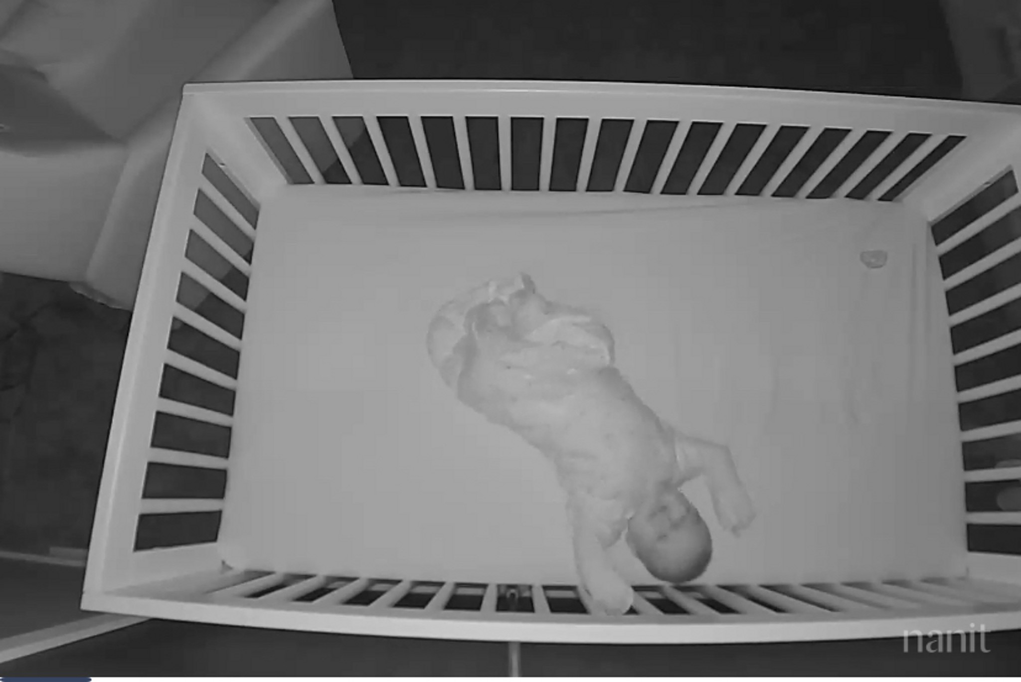 Tips On How To Help My 3mo Who Keeps Pinning Himse Fishbowl